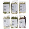 Pasta Deliziosa! Handcrafted Pasta Variety Pack, All Flavors, 12 Ounce