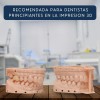 Resina 3d Esun Dental Model 1kg Para Impresión 3d