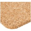 Apollo Cork Coasters Set Of 6 10cm, 1562
