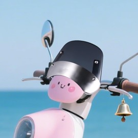 Motorcycle Windshields | Motorcycle Windshield Headlight Fairing,Automotive Side Fairing for Women Men Family Friends Bobber Motorbike Cycling Outdoor Sports Activities