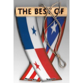 PUERTO RICO AND PANAMA PANARICAN BORICUA PANAMANIAN CARIBBEAN SOUTH AMERICAN REARVIEW MIRROR MINI BANNER HANGING FLAGS FOR THE CAR UNITY FLAGZ™