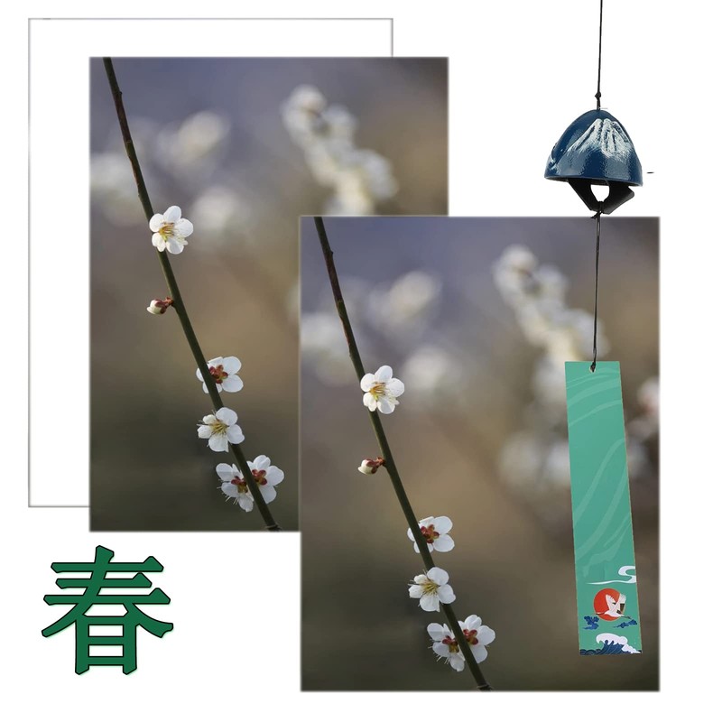Wind Chime, Southern Cast Iron, VIPITH, Mt. Fuji, Feng Shui