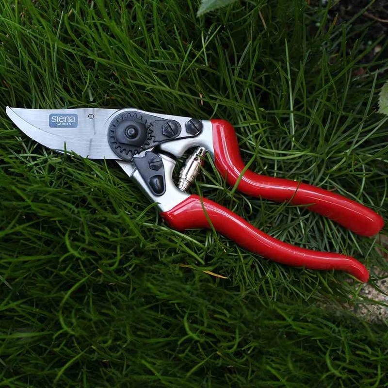 Siena Garden 691530 Premium Bypass Pruning Sheers 8 EG