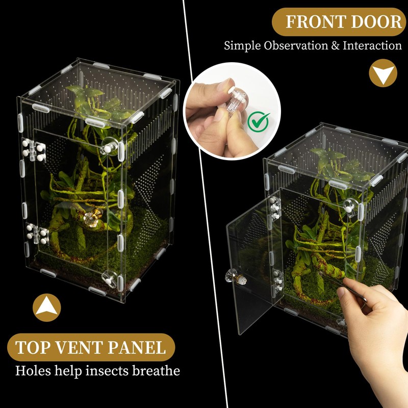 Acrylic Jumping Spider Habitat, Reptile Terrarium Easy Assembly, Bug Enclosure,
