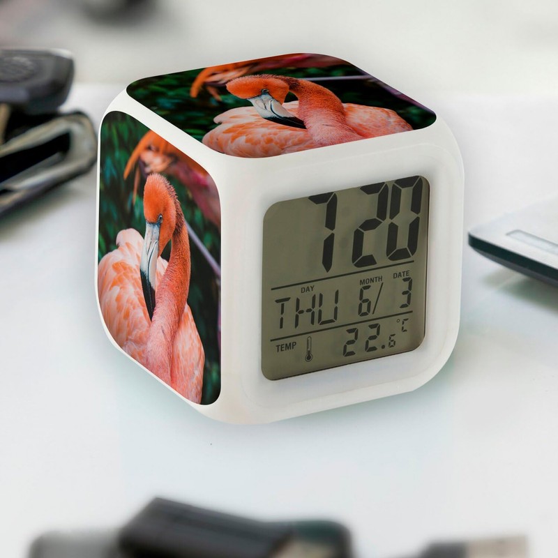 Fabulous White Illuminated Cube Alarm Clock - Close-up Flamingo Pink
