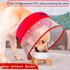 Inflatable Dog Cone Collar for Large Medium Small Dogs, Soft