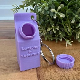 XXXPOWERXXX Mini Milk Carton Holder Keychain, Lactose and Tolerant Pill Holder, Milk Carton Keychain for Pills, Portable Storage Box Travel Pill Holder (Purple)
