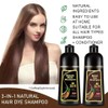 Black Hair Dye Shampoo Natural Instant 3in1 Hair Dye Shampoo