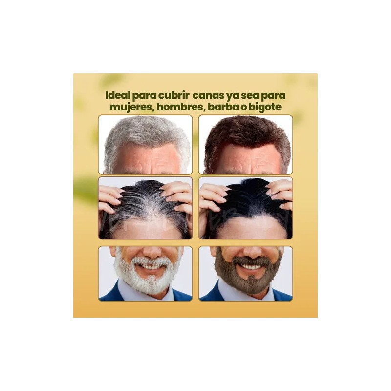 Shampoo Tinte Instantáneo Cubre Canas Natural Jengibre 2pz F
