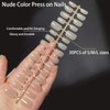 Pack of 240 Natural Acrylic Artificial Nails with Nail Glue