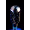 NAIL FACTORY - PRO SERIES BITS Punta Profesional de Seguridad