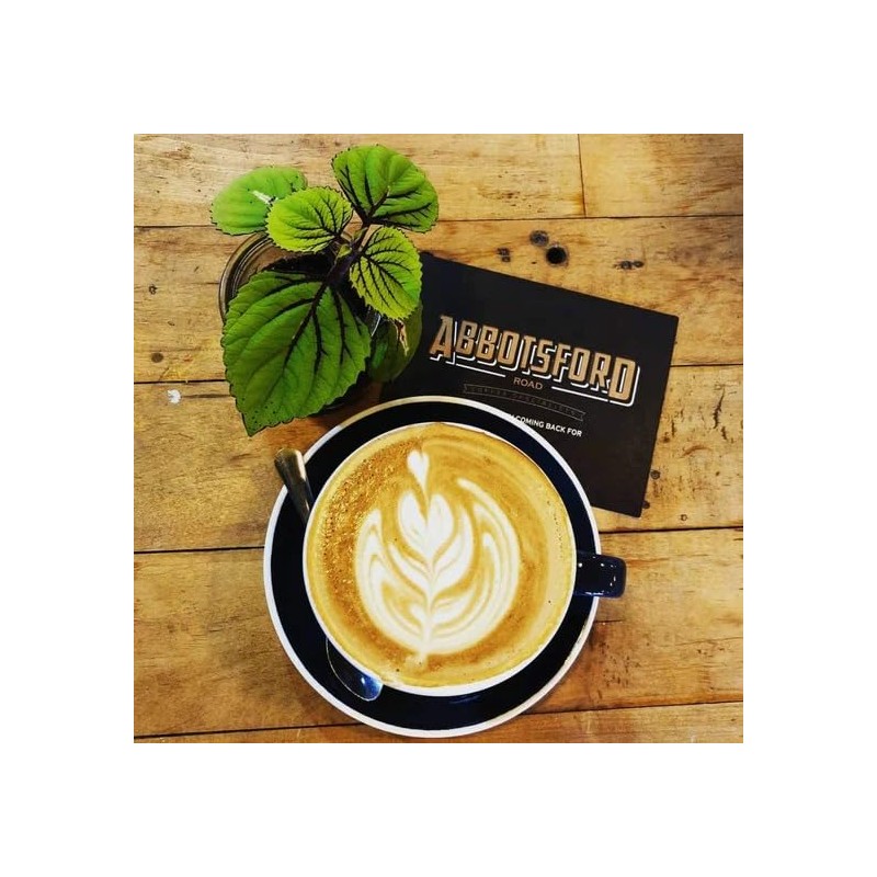 Peru Highlands Whole Bean Coffee, Light Roast, Citrus & Honey