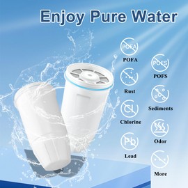Water Filters Replacement for Zero Water Pitchers and Dispenser, 0 TDS Premium Filtration, Reduce Lead/Chromium/PFOA/PFOS - Improve Tap Water Taste (Pack of 2)