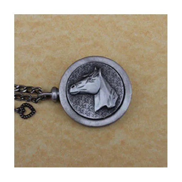 Pewter Keepsake Pet Memory Charm Cremation Urn with Chain -