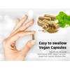 DR WAKDE'S Moringa Capsules (Moringa Oleifera, 60 Veg Caps, Ayurvedic