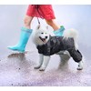 Idepet Hooded Raincoat for Small and Medium Dogs, Waterproof, Windproof