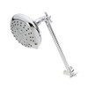 Keeney Manufacturing Keeney Styelewise 5 Function Adjustable Arm Shower head.