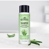 J.R. Watkins Daily Hydration Shampoo, Aloe & Green Tea -