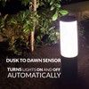 ellumiere Garden Lighting Sensor - Electric Garden Lights - Plug