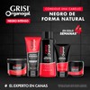 Organogal Tratamiento, color Negro Intenso, 130 ml (Paquete de 2)