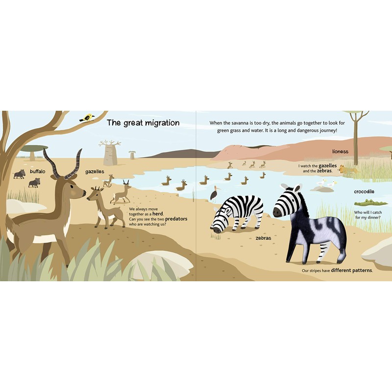 Touch and Explore: Safari