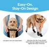 Walkee Paws Easy-On Dog Boots + Leggings & Chest Strap