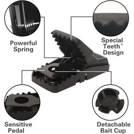 Feeke Mouse Traps, Mice Traps for House, Small Mice Trap Indoor Quick Effective Sanitary Safe Mousetrap Catcher for Family and Pet - 6 Pack, (M01-6Pack)