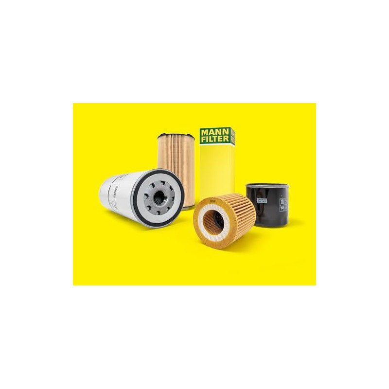 Mann Filter Filtro de Aceite W719/5 para VW A2, A3
