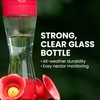 Perky-Pet 203CPBN Glass Hummingbird Feeder for Outdoors with Perches, Ant