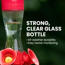 Perky-Pet 203CPBN Glass Hummingbird Feeder for Outdoors with Perches, Ant Moat, Bee Guards - Pack of 1