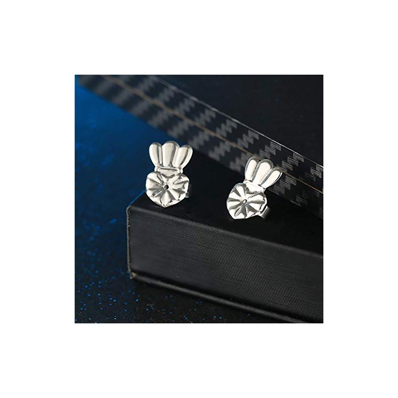 Levantadores Mágicos Ajustables para Pendientes 6 Pares