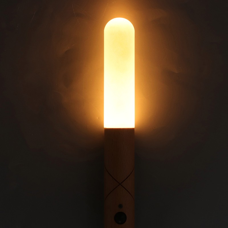 LED Motion Sensor Night Light Brightness Adjustable Portable USB Rechargeable