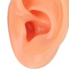 Silicone Ear Model Human Artificial Ear Display for Hearing Aids