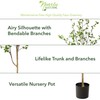 Nearly Natural 6.5ft Minimalist Artificial Citrus Tree, Faux Greenery for
