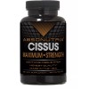 Absonutrix Cissus xtreme 1600mg Cissus Quadrangularis + Absonutrix Probiotic Max