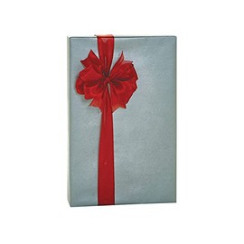 Pack of 1, Silver Metallic Kraft Gift Wrap, 24"x417' Counter Roll for Birthday, Party, Holiday and Events, Made in USA