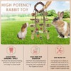 Bissap 3 PCS Rabbit Chew Toy, Bunny Cage Hanging Chew