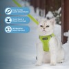 Voyager Step-in Air Cat Leash Harness Set - All Weather