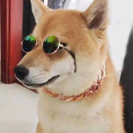 Cat and Dog Sunglasses Gold Chain Two-Piece Set, Pet Sunglasses, Retro Classic Pet Glasses, Adjustable Pet Chain, Photo Prop, for Kittens and Puppy (Green)