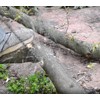 Pocket Chainsaw Emergency Outdoor Survival Gear Folding Chain Hand Saw