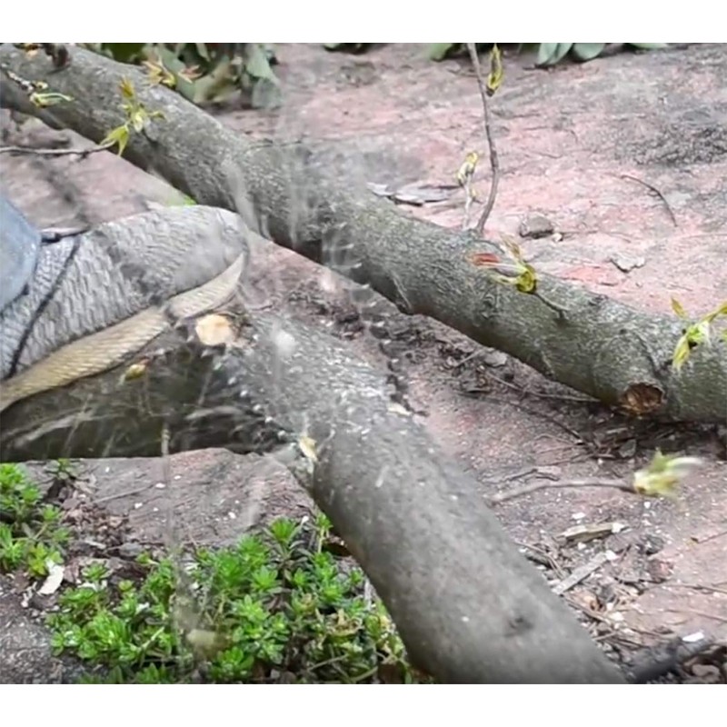Pocket Chainsaw Emergency Outdoor Survival Gear Folding Chain Hand Saw