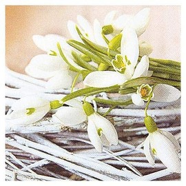 Home Fashion Lunch-Serviette, Schneeglöckchen, 33 x 33 cm, Mehrfarbig, Einheitsgröße