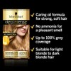 Schwarzkopf Oleo Intense, Permanent Blonde Hair Dye, Ammonia Free, Up