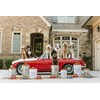 Harry Barker Pet Food Storage Collection, Classic White Food Storage