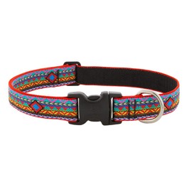 Lupine Dog Collar 1" Wide El Paso Design adjusts 16-28" Long