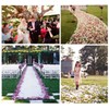 YoungLove 1000 Pcs Non-Woven Artificial Rose Petals Wedding Party Decrorations,Ivory