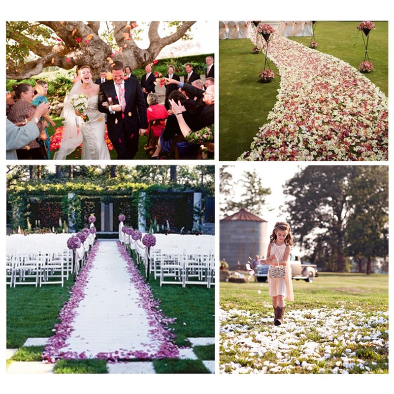 YoungLove 1000 Pcs Non-Woven Artificial Rose Petals Wedding Party Decrorations,Ivory