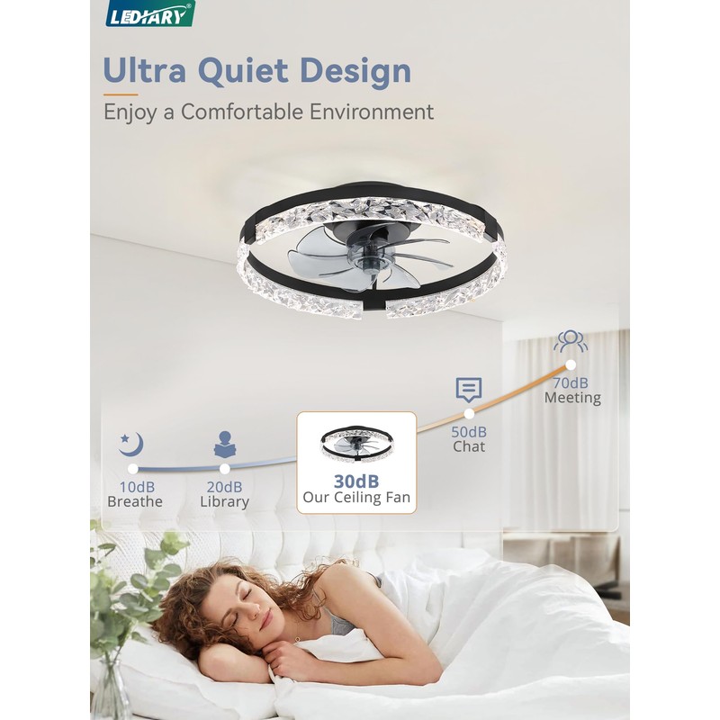 LEDIARY 20 Inch Low Profile Ceiling Fans with Lights and