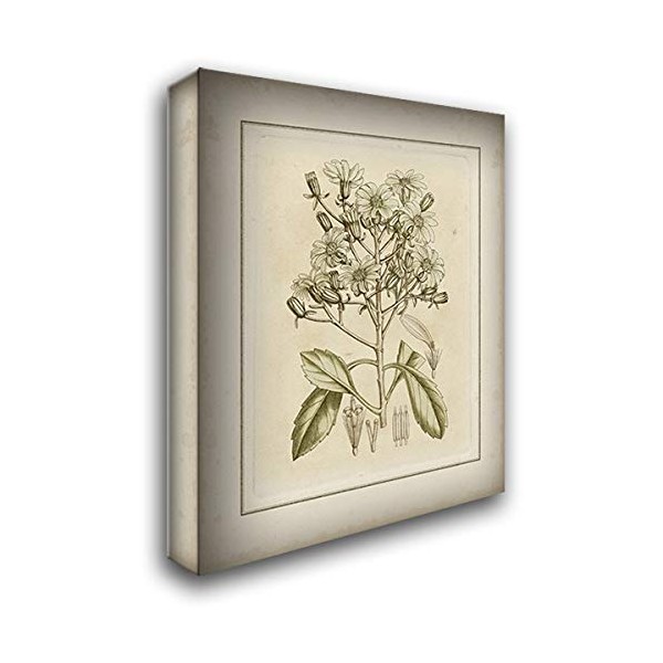 ArtDirect Curtis 20x24 Gallery Wrapped Canvas Museum Art Titled: Tinted