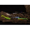 pro-bite Poppy Rubber Fish | UV Active | Contents: 3